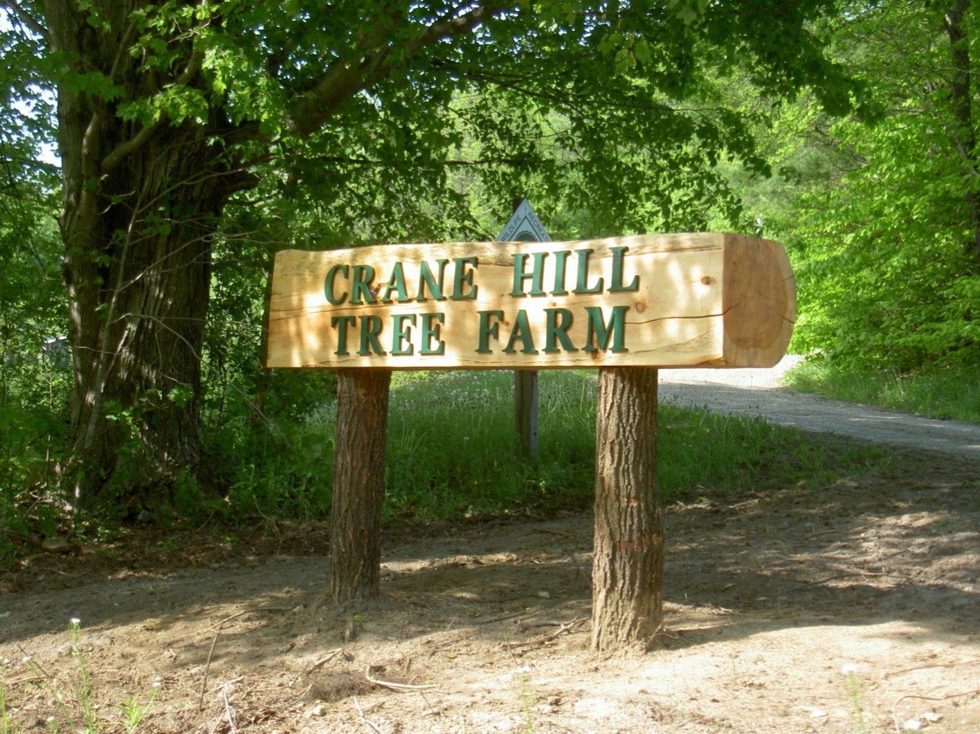 2022 Christmas Real Trees Dalton Ma Crane Hill Tree Farm